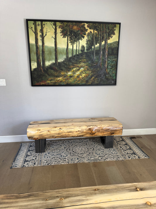 This Bench => 62” Long x 17” Wide x 18” Tall | 8” Thick Top